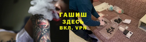прущие грибы Аркадак