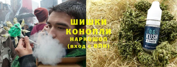 прущие грибы Аркадак