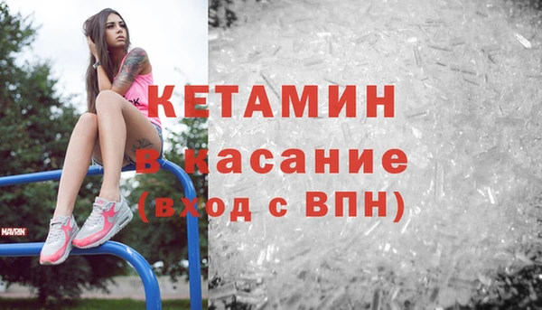 прущие грибы Аркадак