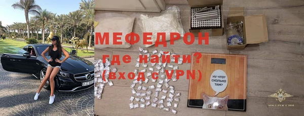 шишки Няндома